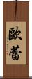 歐蕾 Scroll