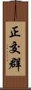 正交群 Scroll