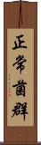 正常菌群 Scroll