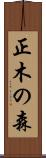 正木の森 Scroll