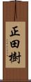 正田樹 Scroll