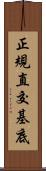 正規直交基底 Scroll