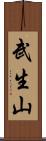 武生山 Scroll