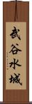 武谷水城 Scroll