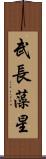 武長藻星 Scroll