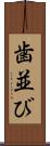 歯並び Scroll