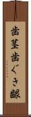 歯茎 Scroll