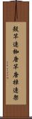 殻竿 Scroll