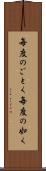 毎度のごとく Scroll