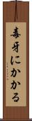 毒牙にかかる Scroll