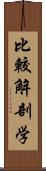 比較解剖学 Scroll