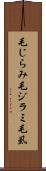 毛じらみ Scroll