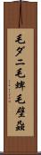 毛ダニ Scroll