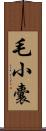 毛小囊 Scroll