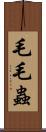 毛毛蟲 Scroll