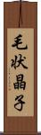 毛状晶子 Scroll