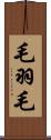 毛羽毛 Scroll