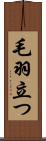 毛羽立つ Scroll