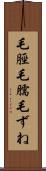 毛脛 Scroll