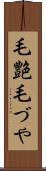 毛艶 Scroll