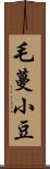 毛蔓小豆 Scroll