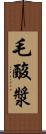 毛酸漿 Scroll