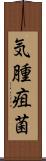 気腫疽菌 Scroll