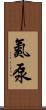 氮泵 Scroll