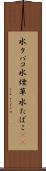 水タバコ Scroll