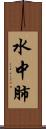 水中肺 Scroll