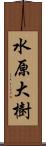 水原大樹 Scroll