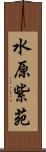 水原紫苑 Scroll