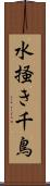 水掻き千鳥 Scroll