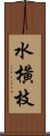 水橫枝 Scroll