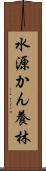 水源かん養林 Scroll