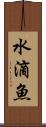 水滴魚 Scroll