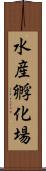 水産孵化場 Scroll