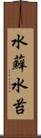 水蘚 Scroll