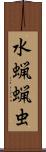 水蝋蝋虫 Scroll