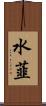 水韮 Scroll