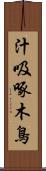 汁吸啄木鳥 Scroll