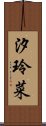 汐玲菜 Scroll