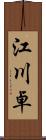 江川卓 Scroll