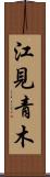 江見青木 Scroll