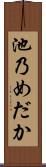 池乃めだか Scroll