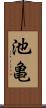 池亀 Scroll