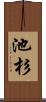 池杉 Scroll