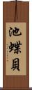 池蝶貝 Scroll