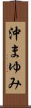 沖まゆみ Scroll