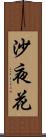 沙夜花 Scroll